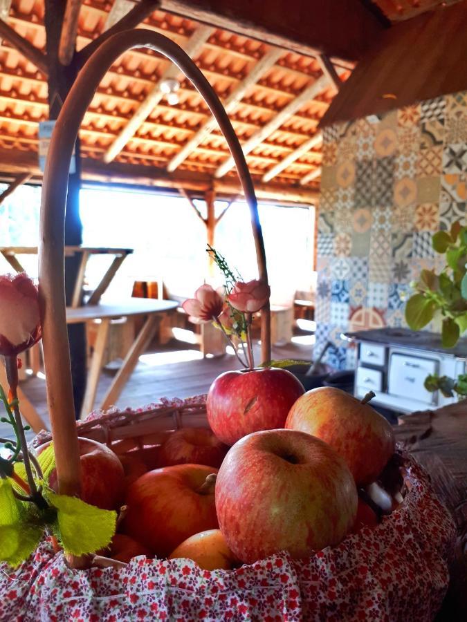 Fazenda Invernada Grande Turismo Rural บอมจาร์จิง ดา แซร์ฮา ภายนอก รูปภาพ